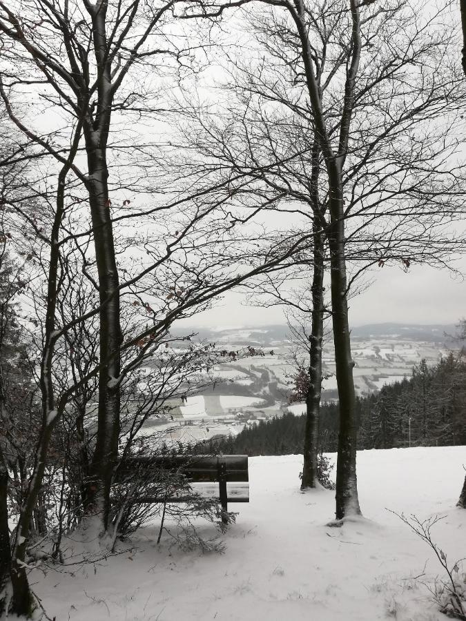 Fraenkische Linie - Radspitz-Ferienwohnungen Marktrodach Экстерьер фото