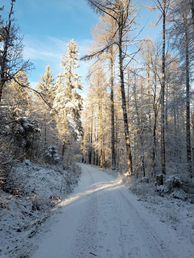 Fraenkische Linie - Radspitz-Ferienwohnungen Marktrodach Экстерьер фото